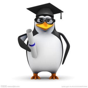 CUSTOM 3D Design Plastic Cartoon Figure action Animals Toys