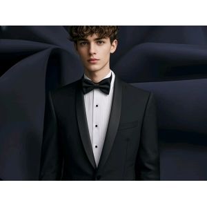 China Teryene Rayon Polyester Fabric Blend Business Suit Material wholesale