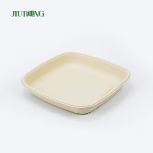 China Bagasse Takeaway Disposable Sugarcane Paper Plates Biodegradable on sale