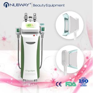 China 2015 latest design cryolipolysis machine 5 handles liposuction machine wholesale