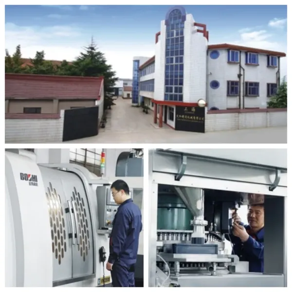 Pharmaceutical Machinery High Speed Rotary Tablet Press Machine BBS Tooling