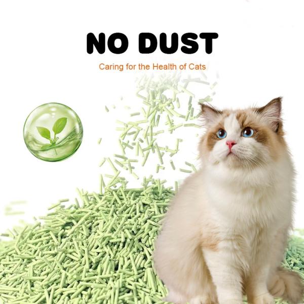 99% Odor Control Fine Grain Tofu Cat Litter OEM Premium Strong Clumping Power No Toe Clogging Virtually Dust- Pea Fiber Tofu Cat Litter with Fruit