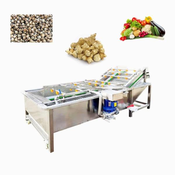 Quality Air Bubble Industrial Fruit And Vegetable Washing Machine 220/380v for sale