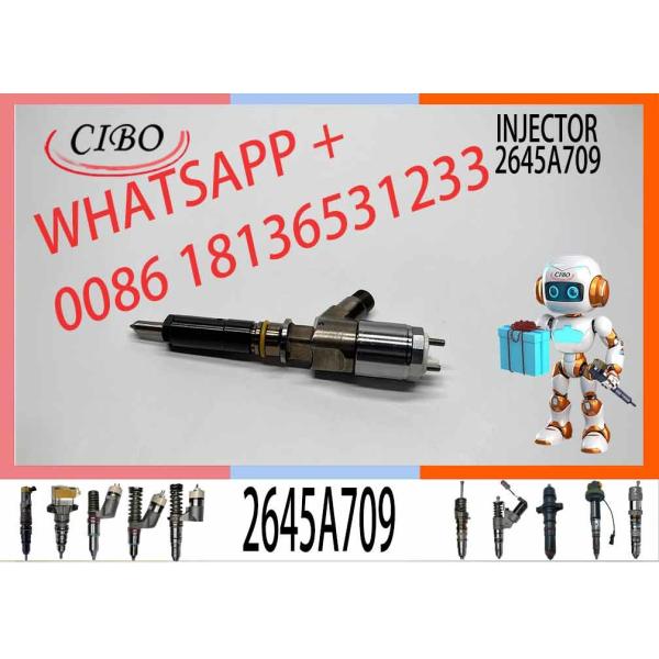 Diesel Engine Fuel Injector 282-0490 2645A709 10R-7673 10R-7676 2645A734 Engine Diesel C6.6 C6.4 C4.2 Injector
