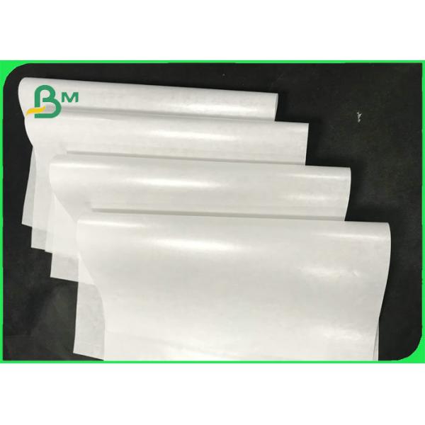 50gsm 60gsm 70gsm Oil - proof Single PE Coated Paper Roll For Packing Food 50gsm 60gsm Oil - proof Single PE Coated Paper Roll For Packing Food