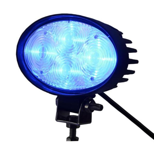 IP67 12W LED Warning Lights For Forklift Big Area Blue Spot Beam DC 10V - 80V
