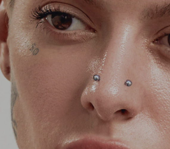 Double Layers Titanium Nose Jewelry Earring Piercing Nose Ring Gold F136 Hinged Segment