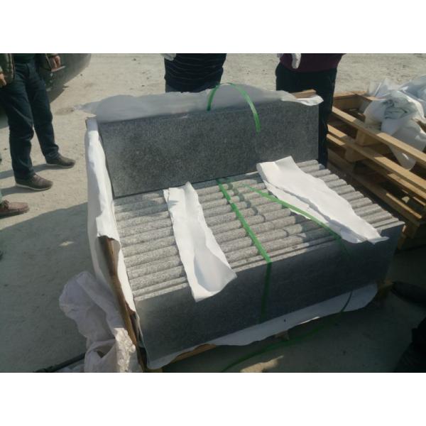 Building Material Granite Stone Tiles / Slab Different Sizes Optional