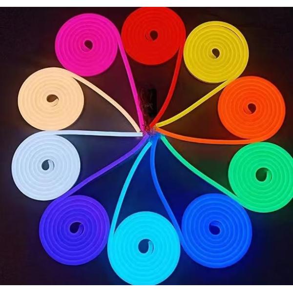 IP67 Big 220V Neon Light 12V 16mm Outdoor 2835 SMD Waterproof Luces Smart LED Strip Lights