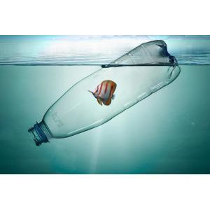 ocean bound plastic bottles recycled 75D pongee Recycled polyester fabric