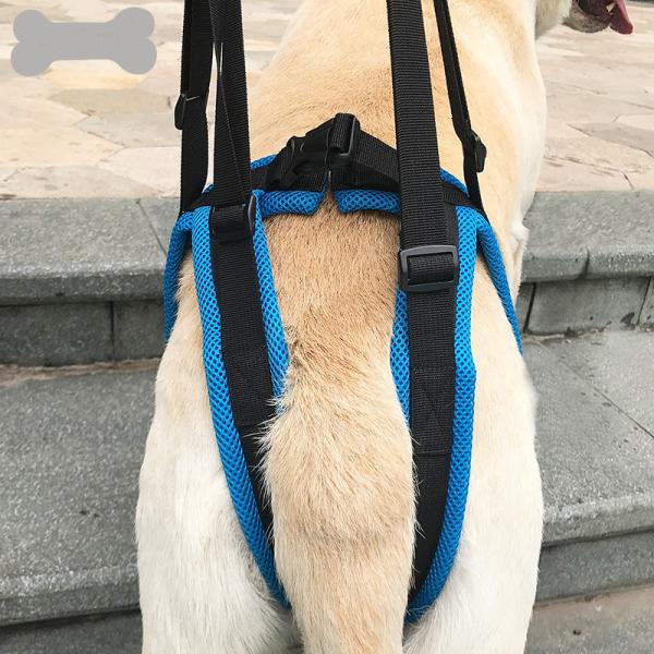 Nylon Pet Leg Support Belt Rear Leg Disability Injury High Aged Dog Stair Auxiliary