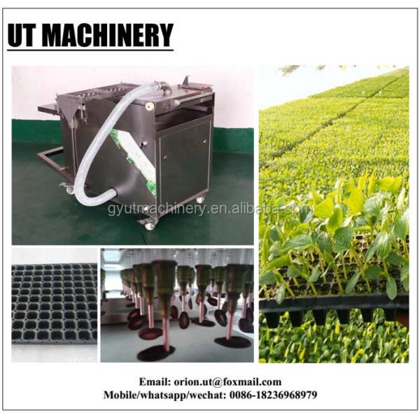 Stainless Steel Tray Tomato Seeding Machine Vacuum Seeder with Precision Planter
