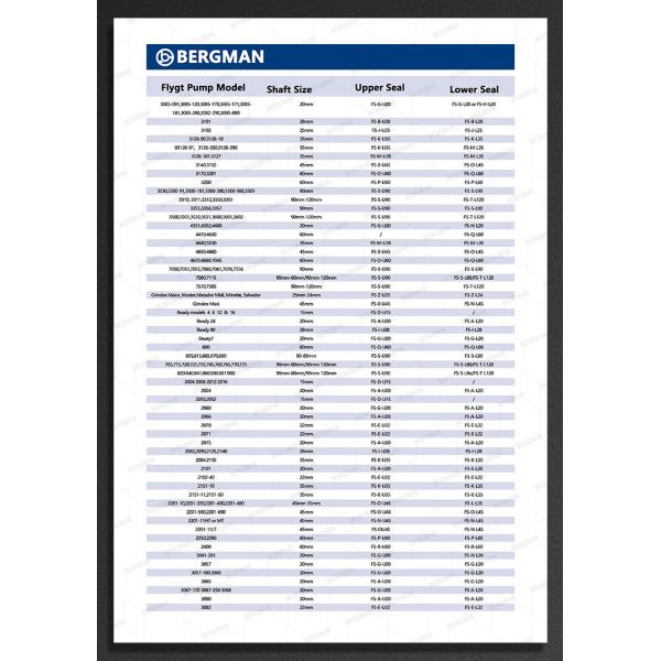 BERGMAN replace Flygt Pump seal FOU-45mm 1330 Upper sealing Mechanical Seal