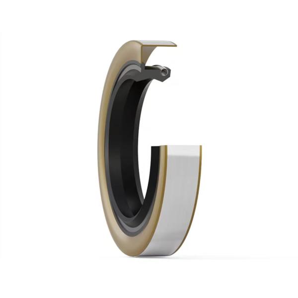 Double Lip Skeleton Oil Seal FKM High Temperature Resistant Up To 250°C