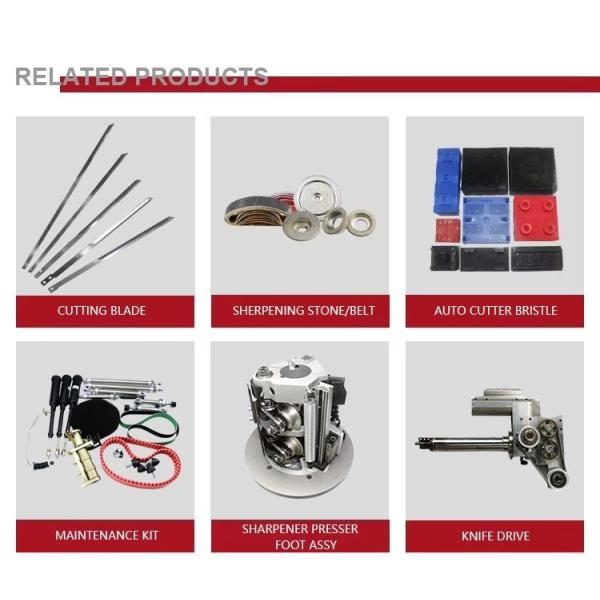 Carbon Brush 6175 Original Suitable for Tsm Spreader