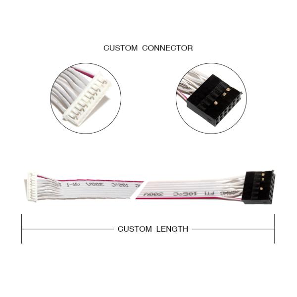 IDC 12 PIN Flat Flexible Ribbon Cable DF19 TO JST RF for PCBA power cable