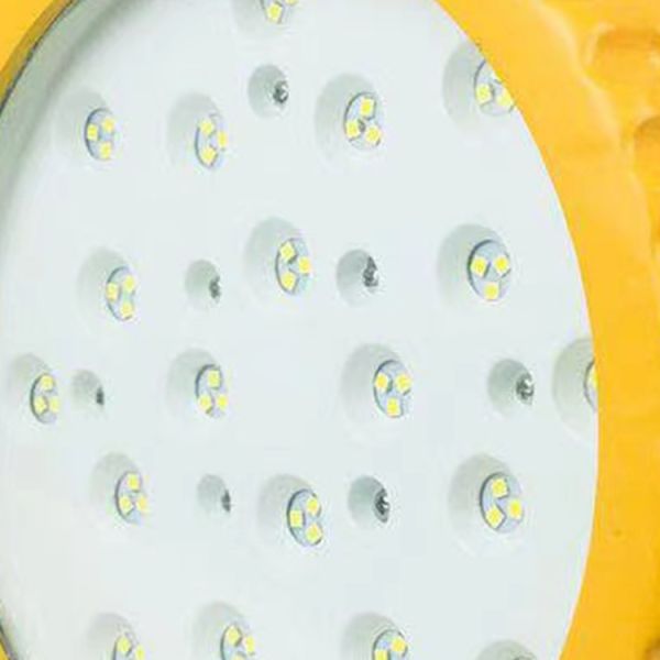 Explosion Proof Lamp Ip65 Waterproof Factory 50w 100w 150w Led Explosion-Proof Light
