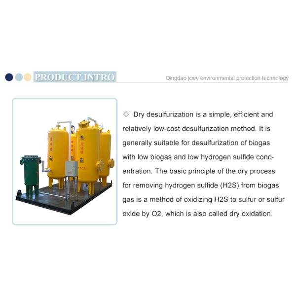 10PPM H2S Filter Biogas Purification Equipment With Dehydrator And Desulfurizer
