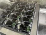 Capacitor Potting Machine with 2 Component PU Resin Epoxy Dispenser
