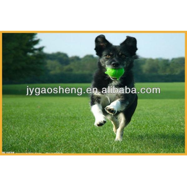 Puppy Walking Led Dog Leash Adjustable Dog Tie Out Cable And Stake