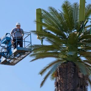 High Performance Innovative Communication Disguised Cell Towers Coconut Tree