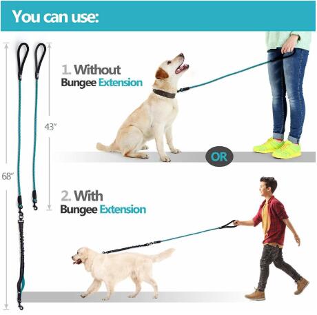 Anti Pull Shock Absorbing Nylon Dog Leash No Slip Reflective Outside Lightweight