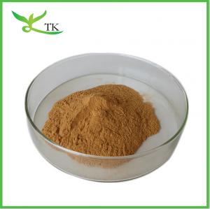 China Ginseng Extract Powder Eleutherosides B+E 0.8% Siberian Ginseng Powder wholesale