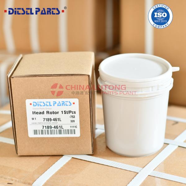 7189-461L Wholesale New Diesel Fuel Pump Head Rotor 7189-461L with Rotor 018L 3/7R Factory direct sale high quality diesel DPT pump head rotor 7189