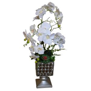 Buy cheap Potted Silk Orchids for Sale from wholesalers