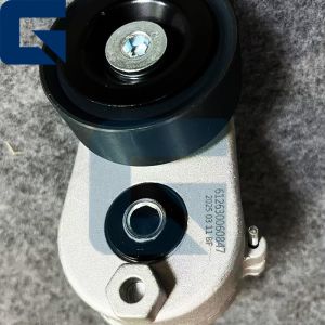 China VG1246060005 Vg1246060005 Engine Belt Automatic Tension Pulley wholesale