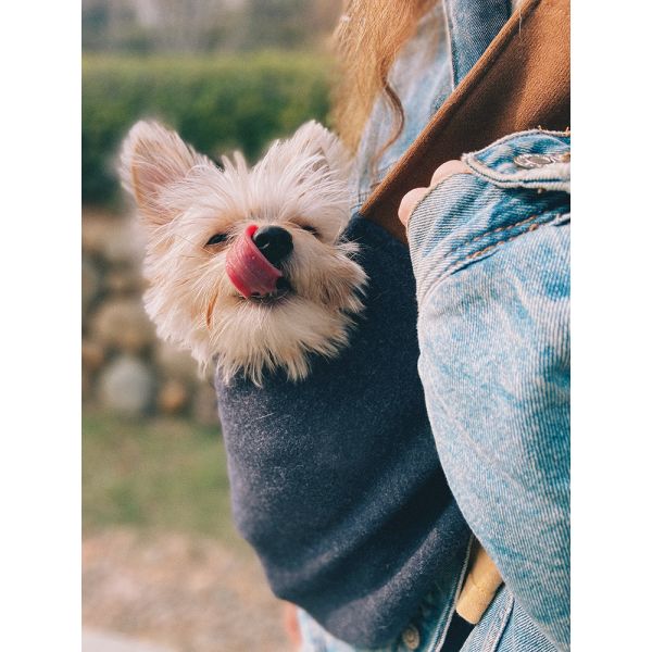 Pet Dog Carrier Sling Bag For Large Medium Dog 50 Lbs 20 Lb Puppy Papoose Carrier