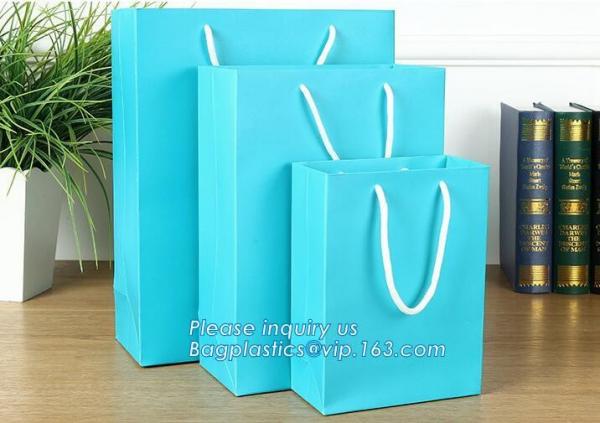 Luxury promotion candy paper carrier bag with handle,Luxury Solid Color Printing Logo Printed Paper Carrier bag for Shop