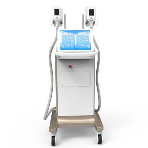 China laser fat reduction treatment non-surgical liposuction cryolipolysis slimming machines wholesale