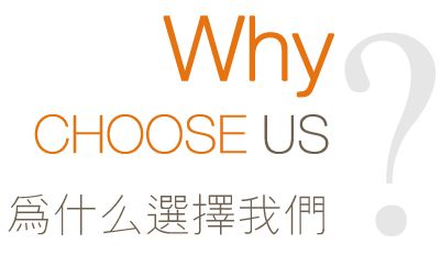 Professional Locksmith Tools Core Puller Pick Tool Pull Screws Flange Gasket Lock Cylinder Removal Blank Keys Stainless Steel