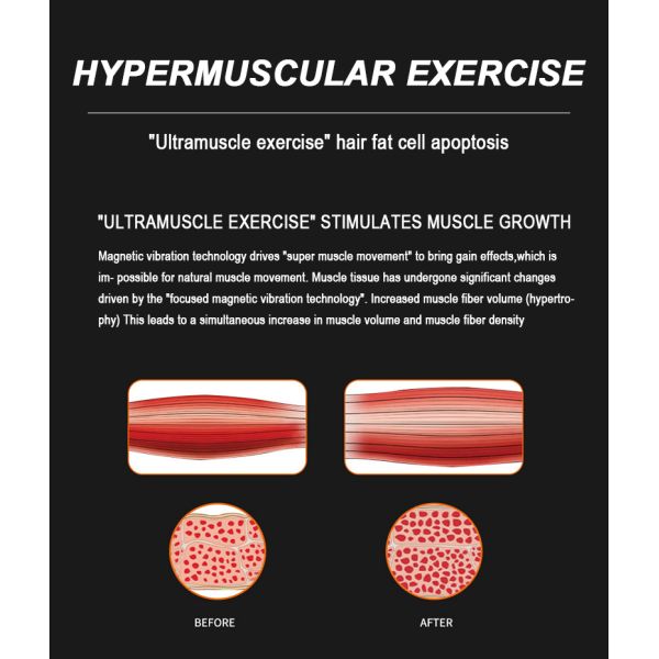 DM-52 Fat Removal Desktop EMS Sculpting Machine Electric Muscle Stimulator