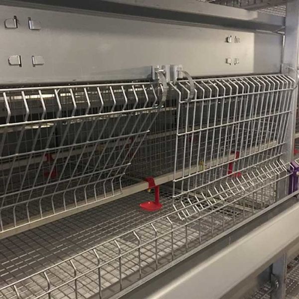 Q235 Steel Galvanized 1 Day Old Baby Chick Cage 20 Years Anti Rust