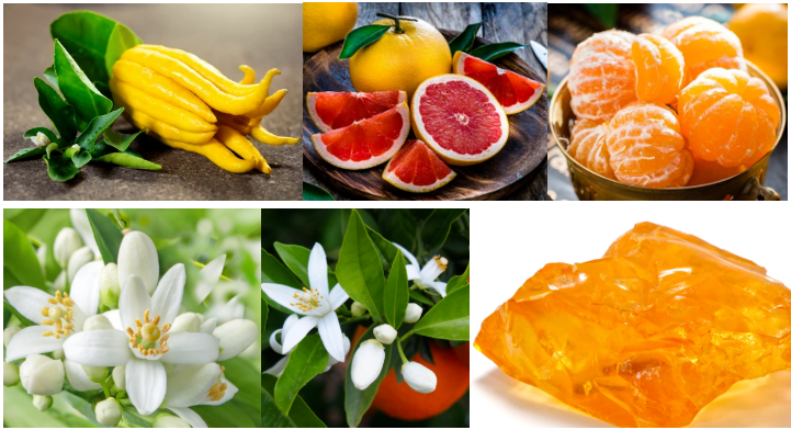 100% Pure Vibrant Citrus Fragrance For Perfume With Free Sample 10ml / Bottle