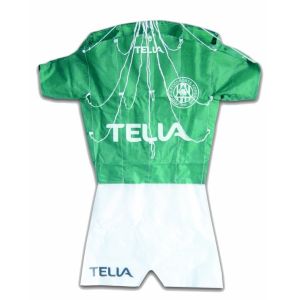 China Easy Control Promotional Kites Convenient Carry Durable High Performance wholesale