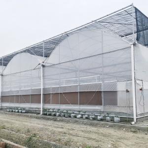 China Hydroponic Growing Systems Greenhouse Low Cost Greenhouse Agriculture Plastic Greenhouse on sale