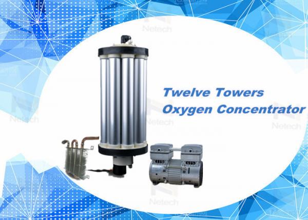 10LPM PSA Oxygen Generator Spare Parts For Ozone Machine Production