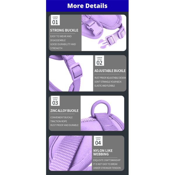 Durable PVC Pet Set Leash And Collar Adjustable Waterproof Set For Small Medium Large Dogs