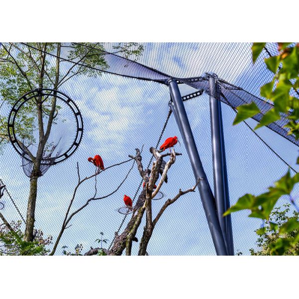 AISI304 Stainless Steel Aviary Mesh 7x19 For Bird High Tensile Strength