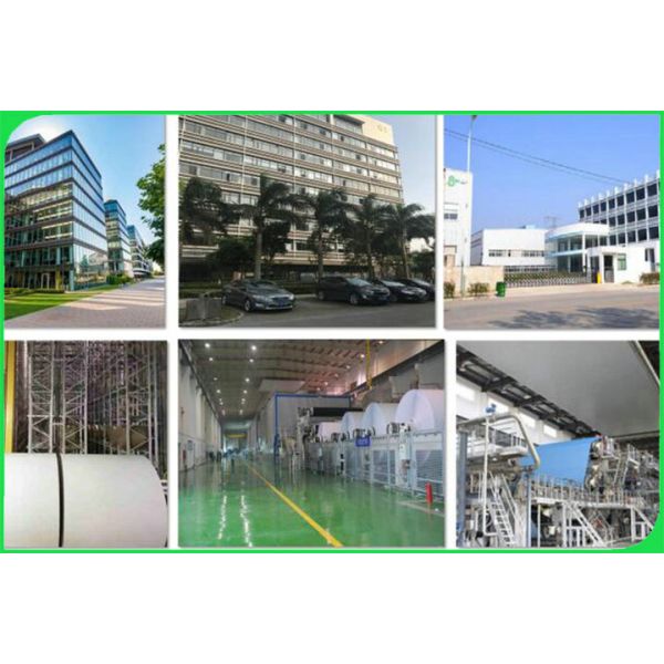 48.8gsm Biodegradable Printed Newsprint Paper Sheet For Wrapping Customized