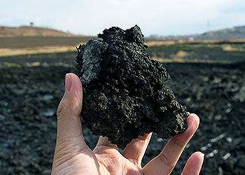 EINECS No. 64365-11-3 Coconut Shell Based Aquarium Media Filter Active Carbon Broken Activated Carbon for Desulfurization