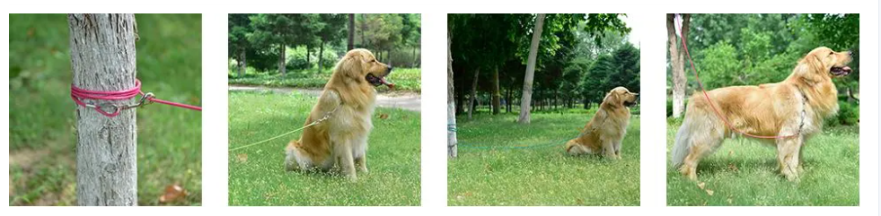 Blue Dog Tie Out Cable And Stake Dog Trolley Pet Rope Medium Duty 20FT