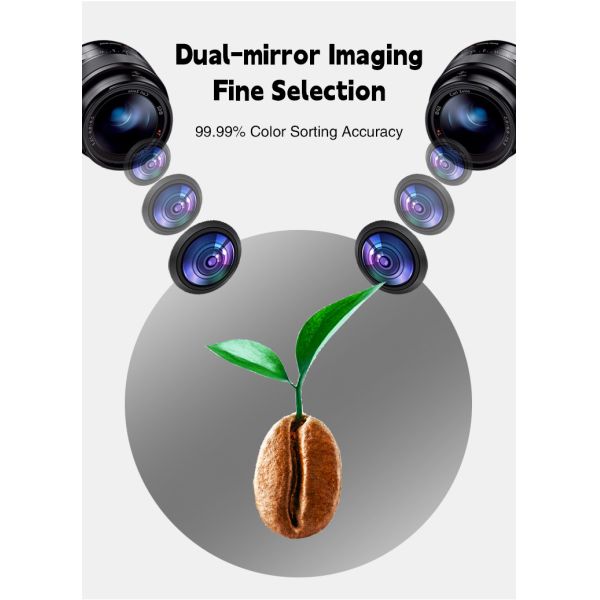 Optical Grain Rice Color Sorter Machine Coffee Beans Shape Sorter Peanut Sorting Machine