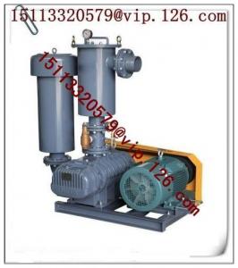 China China Central Conveying System Double Stage Vacuum Blower Manufacturer wholesale