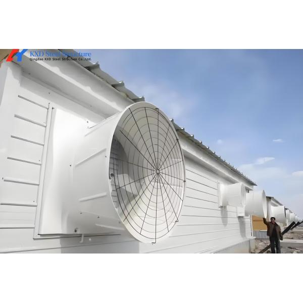 Poultry Farm Chicken Feeding Line Automatic Poultry Pan Feeding System
