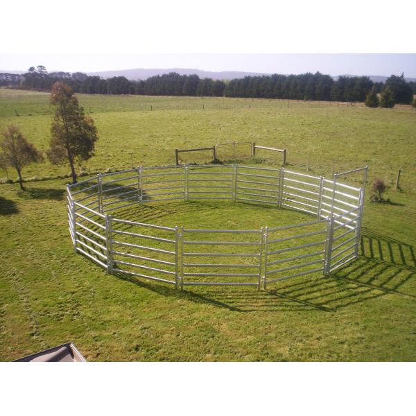 China Portable Horse Stall Panels 40x40 6 Oval Rails. Locking Pins. , Victoria , Cattle wholesale