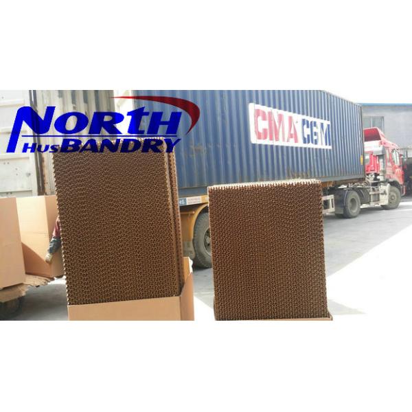 Industrial Electrical Operated Exhaust Fan